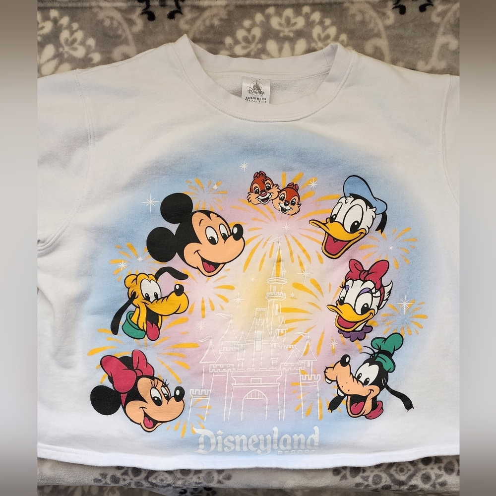 Disneyland crop sweater
